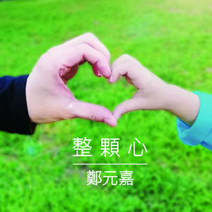 整颗心 (女婿告白卡拉版)