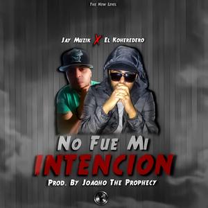 No Fue Mi Intención