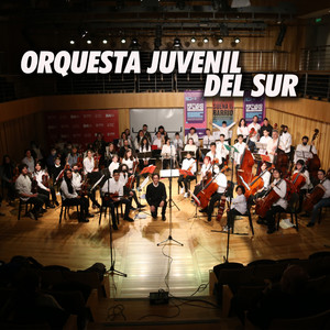 Orquesta Juvenil del Sur