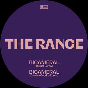 Bicameral (Tourist Remix)