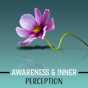 Awareness & Inner Perception: Buddhist Zen Philosophy, Self Reflect, Become a Guru, Peaceful Music, Deep Consciousness