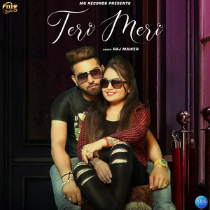 Teri Meri - Single