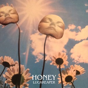 Honey