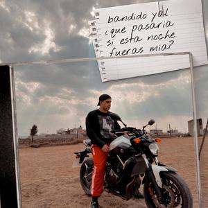 bandido yal