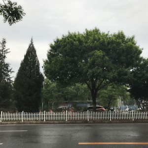 流浪的小行星圆舞曲