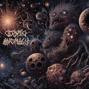 Cosmic Anomaly