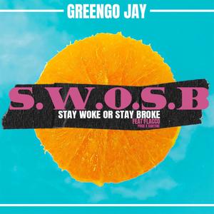 Stay Woke or Stay Broke (feat. Flacco) (Explicit)