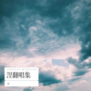 Defying Gravity (涅 remix)