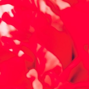 山间一白衣女子