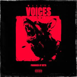 VOICES (Explicit)