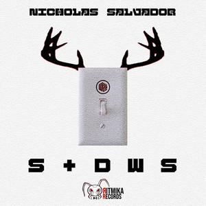 Nicholas Salvador - Switch