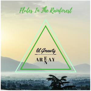 Flutes In The Rainforest