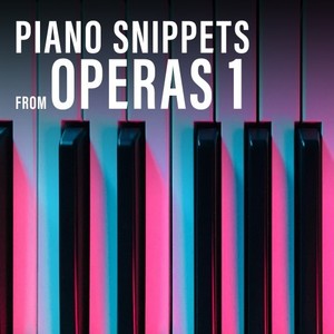 Klavierausschnitte aus Opern, Vol. 1