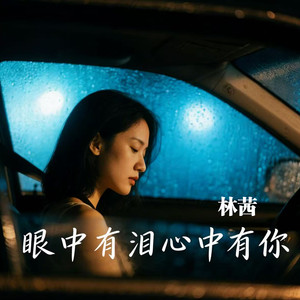 眼中有泪心中有你封面