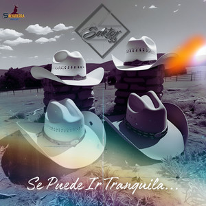 se puede ir tranquila