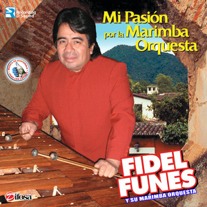 Mi Pasión por la Marimba Orquesta. Música de Guatemala para los Latinos