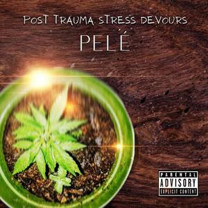 Post Trauma Stress Devours (Explicit)