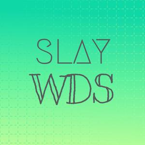 Slay Wds
