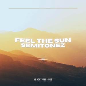 Feel The Sun