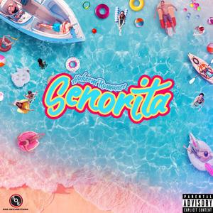 Señorita (Explicit)