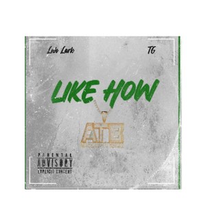 Like How (feat. ATB TG) [Explicit]