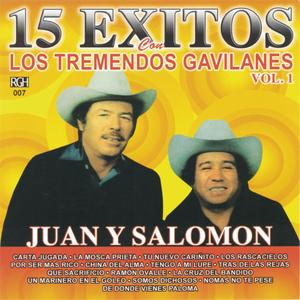 15 Exitos Con Los Tremendos Gavilanes, vol. 1