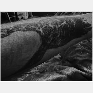 MALEDETTO (Explicit)