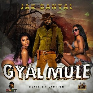 Gyal Mule