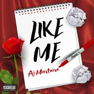 Like Me (Explicit)