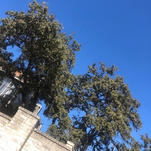 Reynaees mumble pt2 (Explicit)