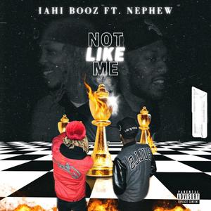 Not Like Me (Explicit)