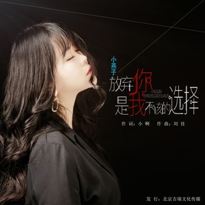 小燕子 - 放弃你是我不该的选择 (DJ伟伟版伴奏)