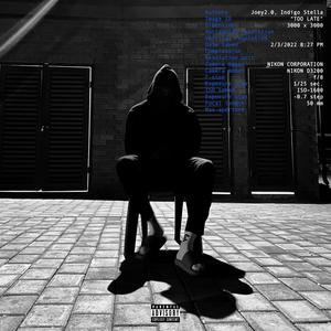 TOO LATE(feat. Indigo Stella) (Explicit)