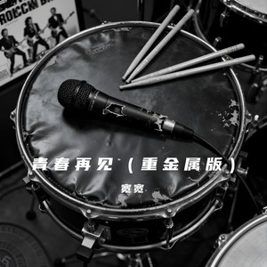 青春再见 (重金属版)封面
