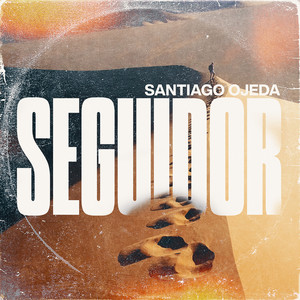 Seguidor