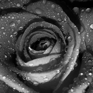 Est-ce que tu sautes ?