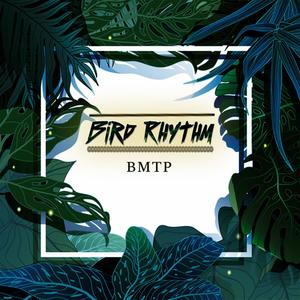 Bird Rhythm