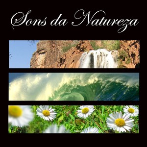 Sons da Natureza e Música para Relaxar