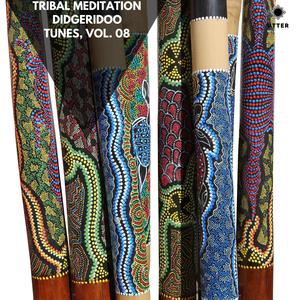 Tribal Meditation Didgeridoo Tunes, Vol. 08