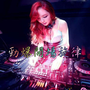 360度环绕立体【有一种爱叫放手】车载中文低音炮