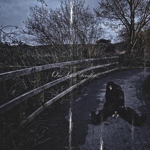 ONE LAST GOODBYE [PROD. IDIO] (Explicit)