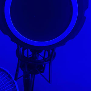 chase **** down (feat. ysnjuu) (Explicit)