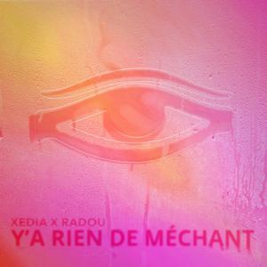 Y'A RIEN DE MÉCHANT (feat. RADOU) (Explicit)