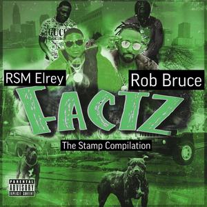 Factz (feat. RSM Elrey & Rob Bruce) (Radio Edit|Explicit)
