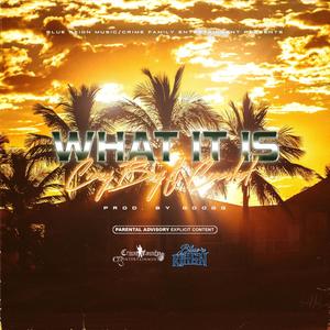 What It Is (feat. Cracshot) [Explicit]