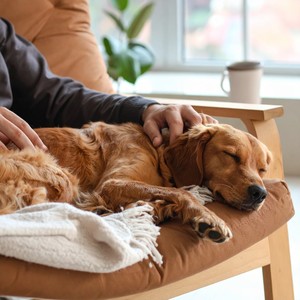 Notas Armoniosas De Serenidad Y Calma