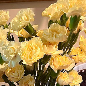 flowers in a vase