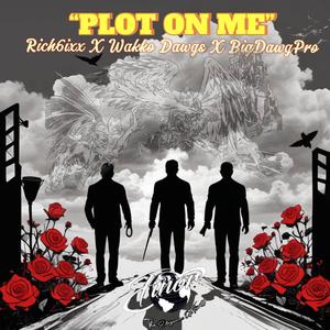 Plot On Me (feat. Wakko Dawgs & Big Dog Pro)