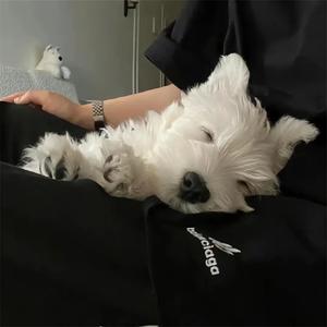 Be My Lover-DJariium