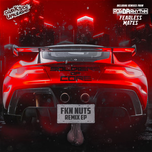 FKN Nuts Remix EP (Explicit)